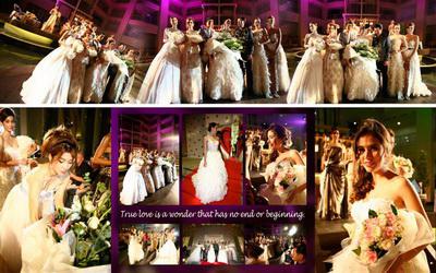 THE COVE by Fashion show finale wedding studio